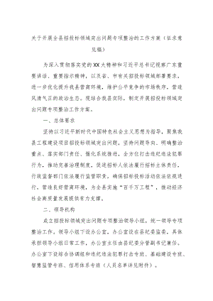 关于开展全县招投标领域突出问题专项整治的工作方案（征求意见稿）.docx