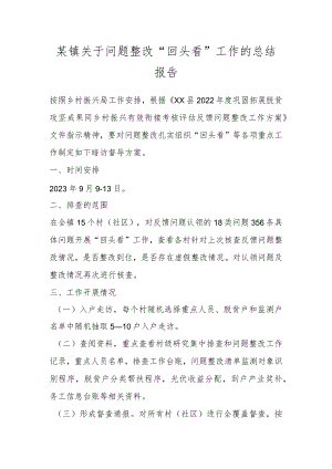 某镇关于问题整改“回头看”工作的总结报告.docx