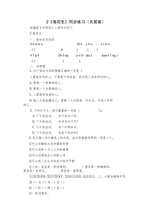 2《落花生》同步练习（无答案）_1.docx