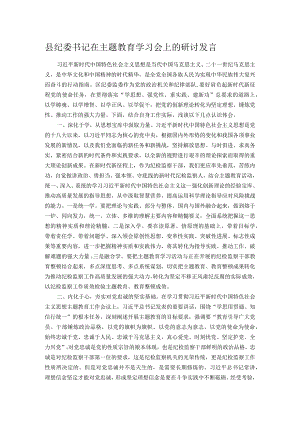 县纪委书记在主题教育学习会上的研讨发言.docx