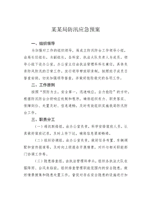 某某局防汛应急预案.docx