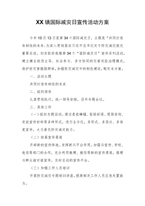 XX镇国际减灾日宣传活动方案.docx