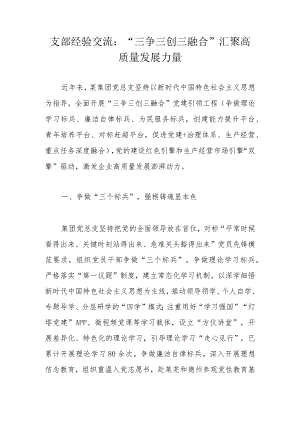 支部经验交流：“三争三创三融合”汇聚高质量发展力量.docx