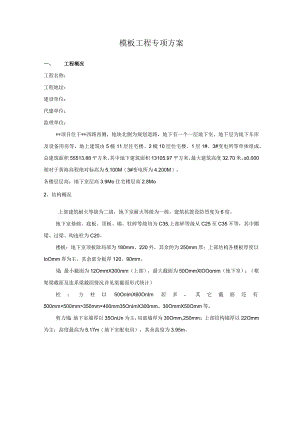 模板工程专项方案.docx