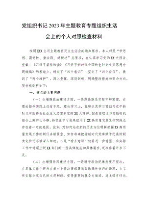 党组织书记2023年主题教育专题组织生活会上的个人对照检查材料.docx