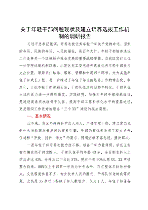 关于年轻干部问题现状及建立培养选拔工作机制的调研报告.docx