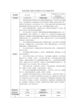 青阳县猴子洞矿业有限公司安全现状评价.docx