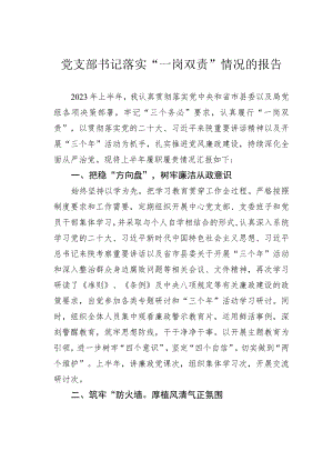 党支部书记落实“一岗双责”情况的报告.docx