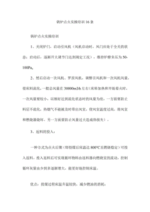 锅炉点火实操培训16条.docx