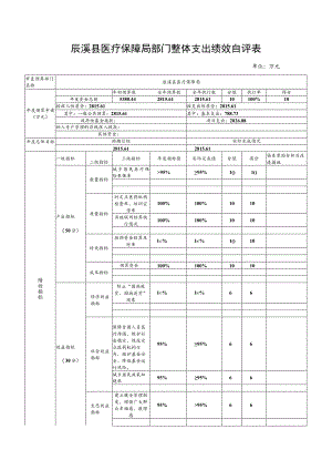 辰溪县医疗保障局部门整体支出绩效自评表.docx
