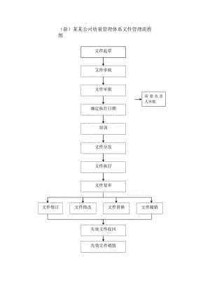 (新)某某公司质量管理体系文件管理流程图.docx
