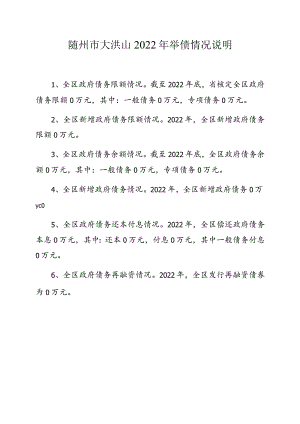 随州市大洪山2022年举债情况说明.docx