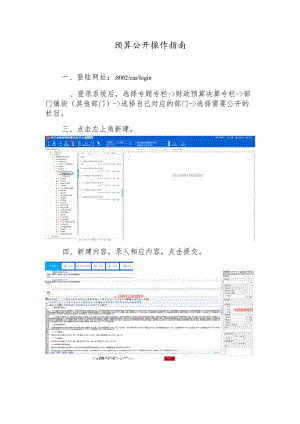 预算公开操作指南.docx