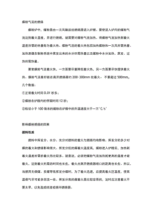 煤粉气流的燃烧及影响因素.docx