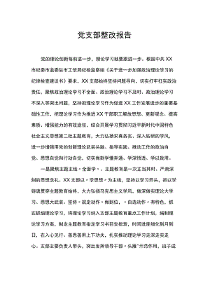 党支部整改报告.docx