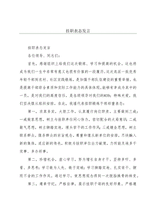 挂职表态发言.docx