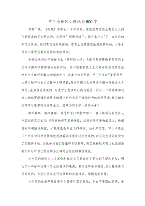 学习毛概的心得体会600字.docx