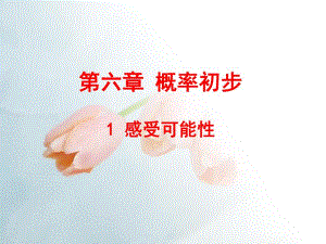 6.1感受可能性.ppt