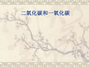 6.3二氧化碳和一氧化碳课件.ppt