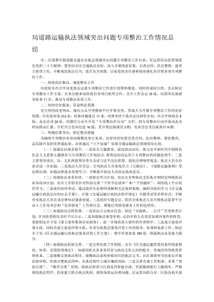 局道路运输执法领域突出问题专项整治工作情况总结.docx