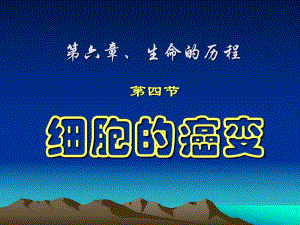 6.4细胞的癌变.ppt