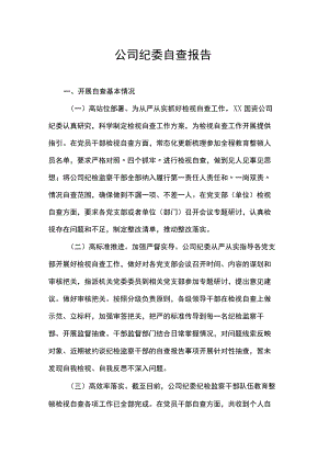公司纪委自查报告.docx