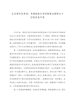 区发展和改革局： 党建赋能引领深耕善治 凝聚合力护航有效开局.docx
