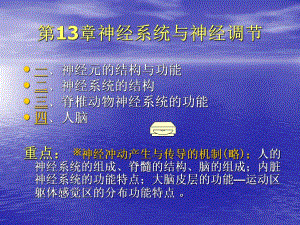 第13章神经系统与神经调节1.ppt