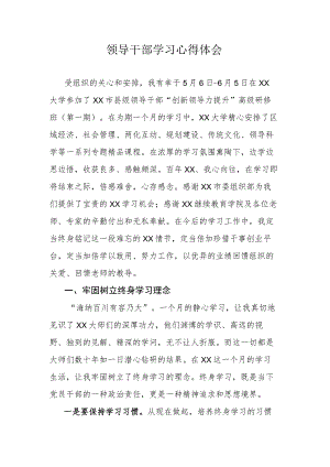 领导干部学习心得体会.docx