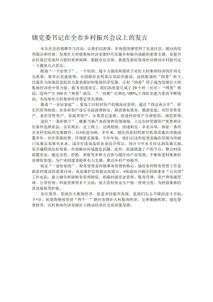 镇党委书记在全市乡村振兴会议上的发言.docx