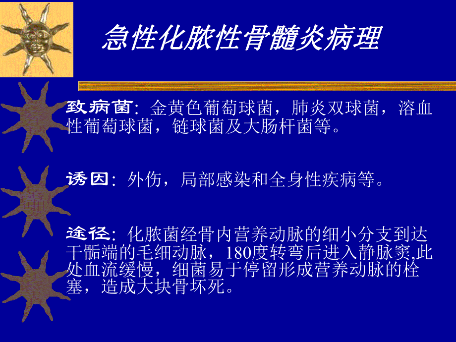 常见病2(感染)名师编辑PPT课件.ppt_第2页