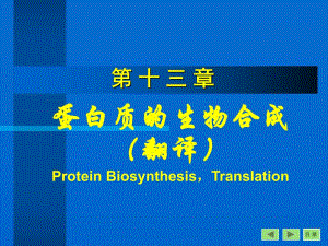第13章翻译.ppt