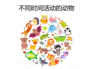 常见昆虫图片名称.ppt