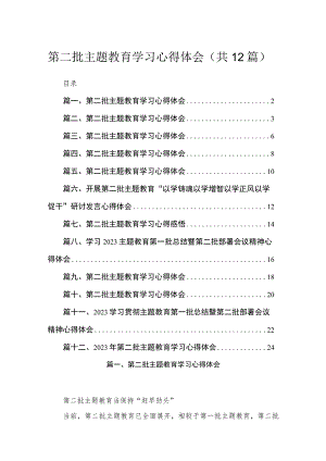 2023第二批主题教育学习心得体会【12篇精选】供参考.docx