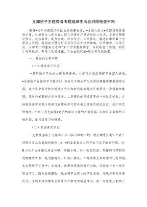 支部班子主题教育专题组织生活会对照检查材料.docx