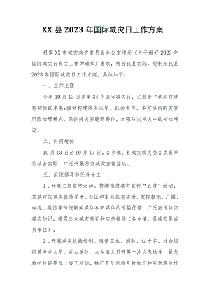 XX县2023年国际减灾日工作方案.docx