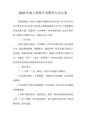2023年海上船舶专项整治行动方案.docx