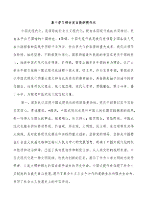 集中学习研讨发言提纲现代化.docx