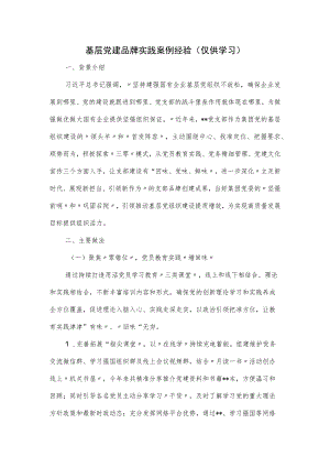 基层党建品牌实践案例经验.docx