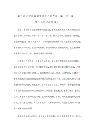 第二批主题教育调查研究念好“深、实、细、准、效”五字诀心得体会.docx