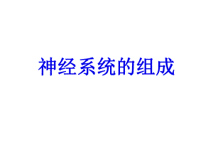 6.2神经系统的组成.ppt
