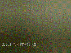 常见木兰科植物的识别.ppt