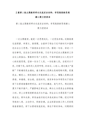 2篇第二批主题教育研讨交流发言材料：学思践悟新思想 凝心聚力担使命.docx