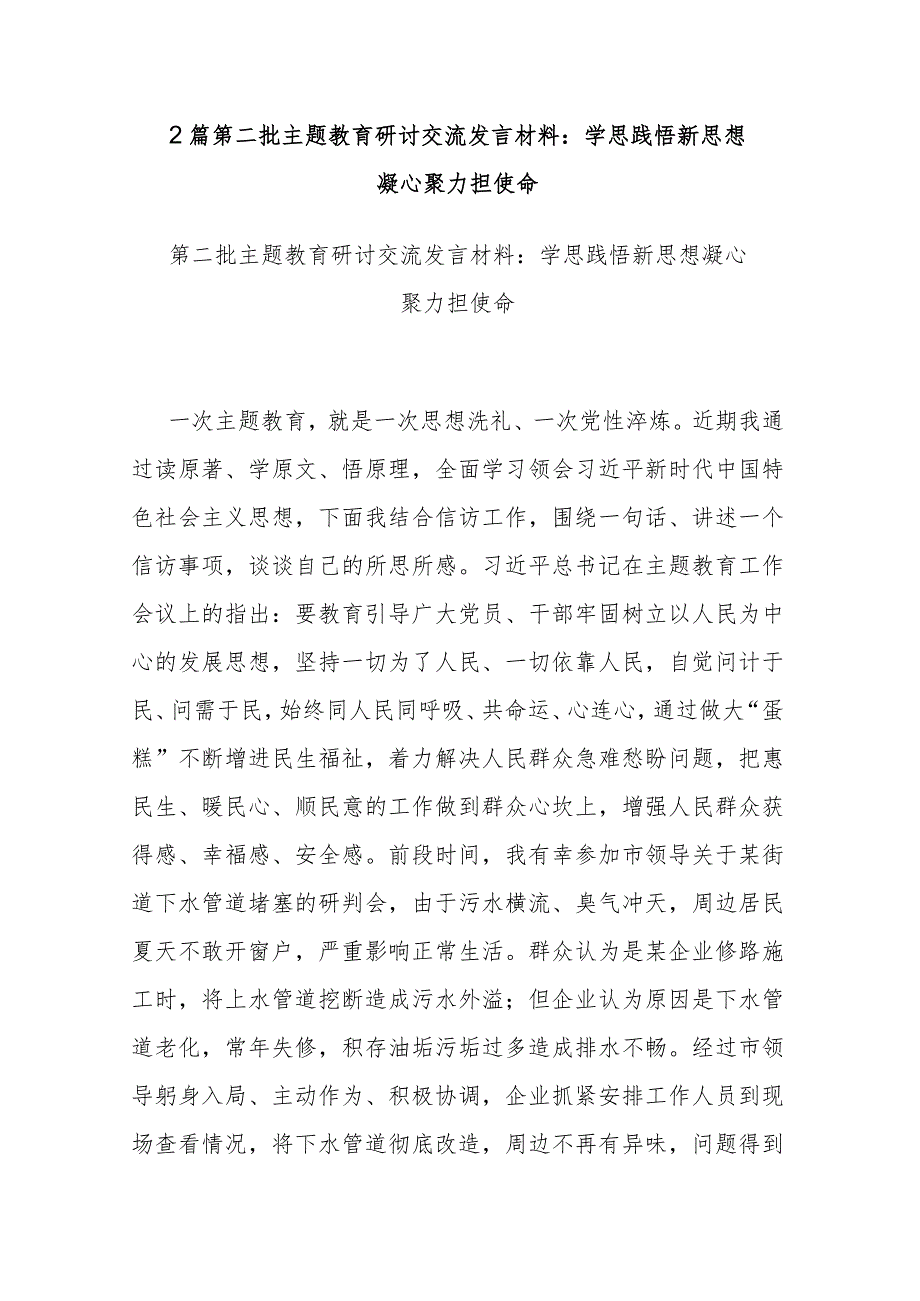 2篇第二批主题教育研讨交流发言材料：学思践悟新思想 凝心聚力担使命.docx_第1页