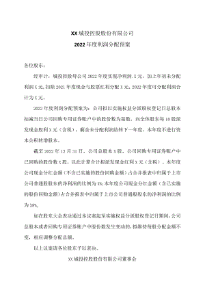 XX城投控股股份有限公司2022年度利润分配预案.docx
