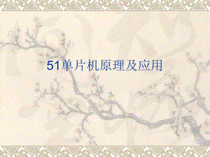 第1章51单片机基础知识.ppt