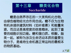 第14章糖类化合物.ppt