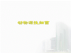 第15章动物源性细菌.ppt