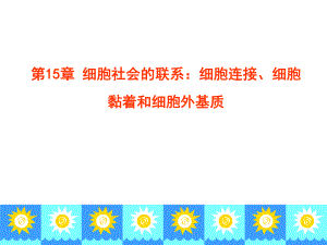 第15章细胞连接细胞黏着和细胞外基质.ppt