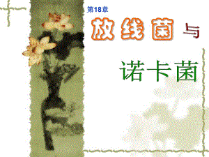 第18章放线菌.ppt